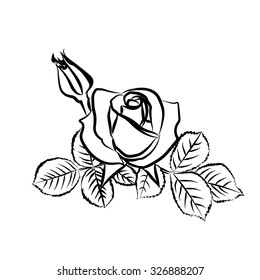 Rose Sketch Black Outline On White Stock Vector (royalty Free 