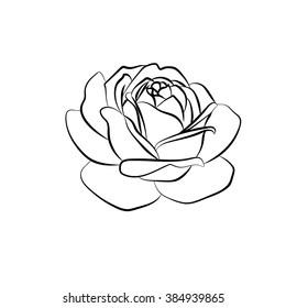 Rose Sketch. Black Outline On White Background. Vector Illustration.