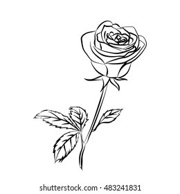 Single Rose Drawing Outline - All Red Mania
