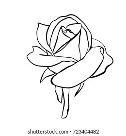 Rose sketch. Black outline on white background. Vector illustration.