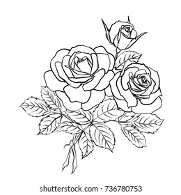 Rose Sketch. Black Outline On White Background. Vector Illustration.