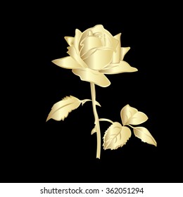 Rose Sketch Golden Outline On Black Stock Vector (Royalty Free ...