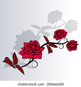 Rose sketch. Red rose and shadows on gray background. Vector illustration.