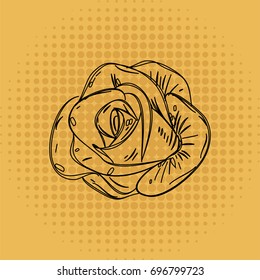 Rose sketch vector illustration.