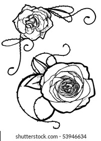 Rose sketches