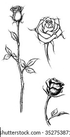 Rose Sketch-Variation of roses in different drawing style
