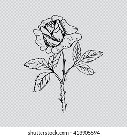 Rose. Sketchy style.