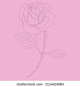 Rose STROKE Isolated On White Background