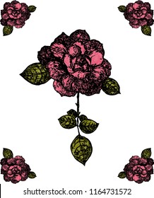 
Rose surrounded by four buds of roses. Drawing by hand. Vector.