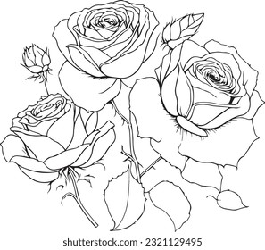 Rose Svg, Flower Download Svg Png Cut file, Rose Clipart download, wedding gift, Rose Flower svg, download, Cricut svg silhouette svg