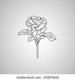 rose symbols, decorative vector illustration