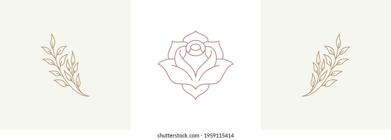 Rose tender natural blossom and twigs with blooming flower in boho linear style vector illustrations set. Bohemian emblems in golden lines feminine symbols for cosmetic design and gardering logo