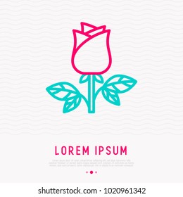 Rose thin line icon. Modern vector illustration of flower.