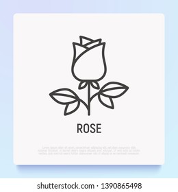 Rose thin line icon, romantic gift on Valentine day. Modern vector illustration.