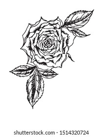 Rose, top view, black and white graphic drawing in retro style. Floral vector illustration with a rose.
