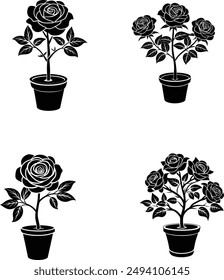 Rose tree on a pot silhouette vector