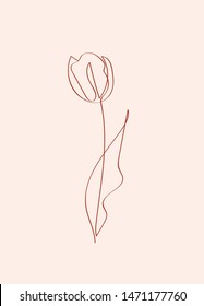 Rose, Tulip flower line art. Contour drawing. Minimalism art. Sketch. Modern decor. Card print. Wall decor. 