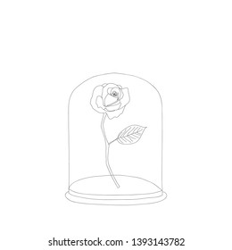 Rose under glass cap . 
