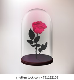 Rose Under The Glass Vector