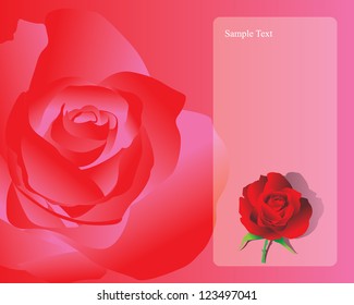 Rose vector