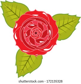 Rose vector