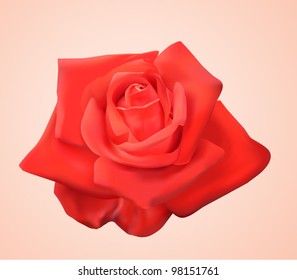 rose vector