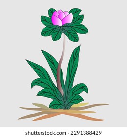 rose vector, art and illustration of a beautiful rose flower at par on a slightly gray background