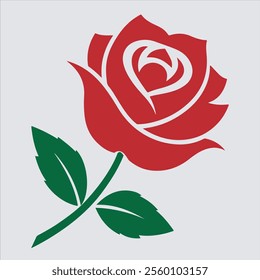 A rose vector art illustration, Fragrant red rose with leaf on white.
