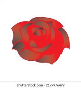 Rose vector can be used to logo or icon