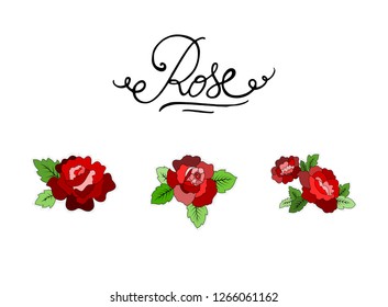 Rose vector color illustration with text tittle letters set collection. Three rose flowers with calligraphy simple letters. Different rose plant with leaves shapes set. Red rose flowers fashion style.