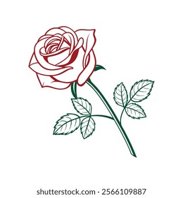 A rose vector is a digital illustration of a rose created using vector graphics, characterized by clean lines, smooth curves, and scalability for various design uses