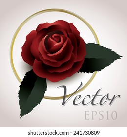 rose vector drawing eps10, vintage style graphic