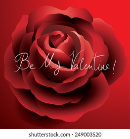 rose vector drawing eps10, vintage style graphic