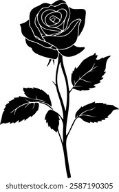 Rose vector in EPS format featuring a beautiful and elegant rose illustration. 