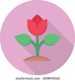 rose vector flat colour icon
