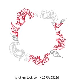 Rose vector. Frame of vector roses on an isolated background. Can be used for wedding invitations, postcards, banners, cosmetics, packaging. Hand drawing. Rose flowers on a white background. Vector.