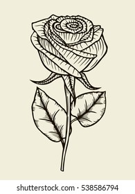 Rose. Vector. Hand drawn artwork. Love bohemia concept for wedding invitations, cards, tickets, congratulations, branding, boutique logo, label. Gift for young girl and women. Black and beige