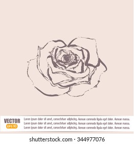 rose vector icon
