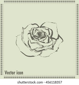 rose vector icon