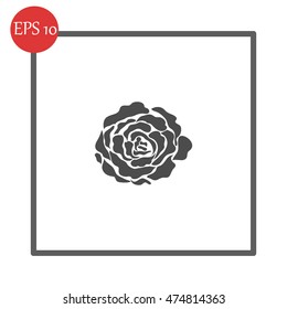 Rose vector icon