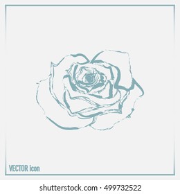 rose vector icon