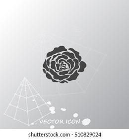 Rose vector icon