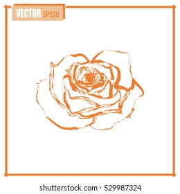 rose vector icon