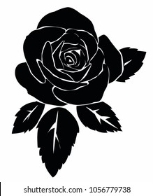 rose vector illustration