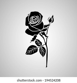 rose. Vector illustration.