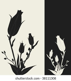 Rose - vector illustration
