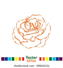 Rose. Vector illustration
