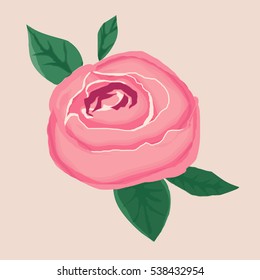 Rose vector illustration