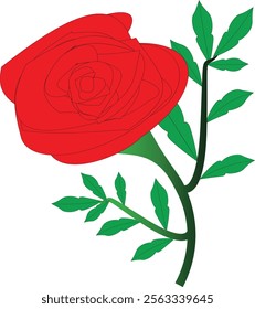 Rose vector illustration art with  leaf isolated on a white background