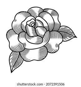 Rose vector illustration, black and white rose flower, can be used as print, postcard, packaging design, element design, tattoo, textile.